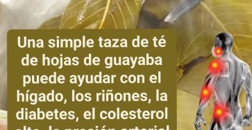 657357555 1881406805843857 7596167932575343522 n