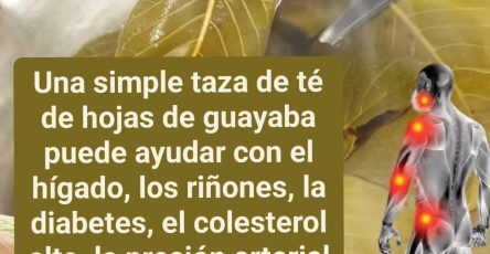 657357555 1881406805843857 7596167932575343522 n