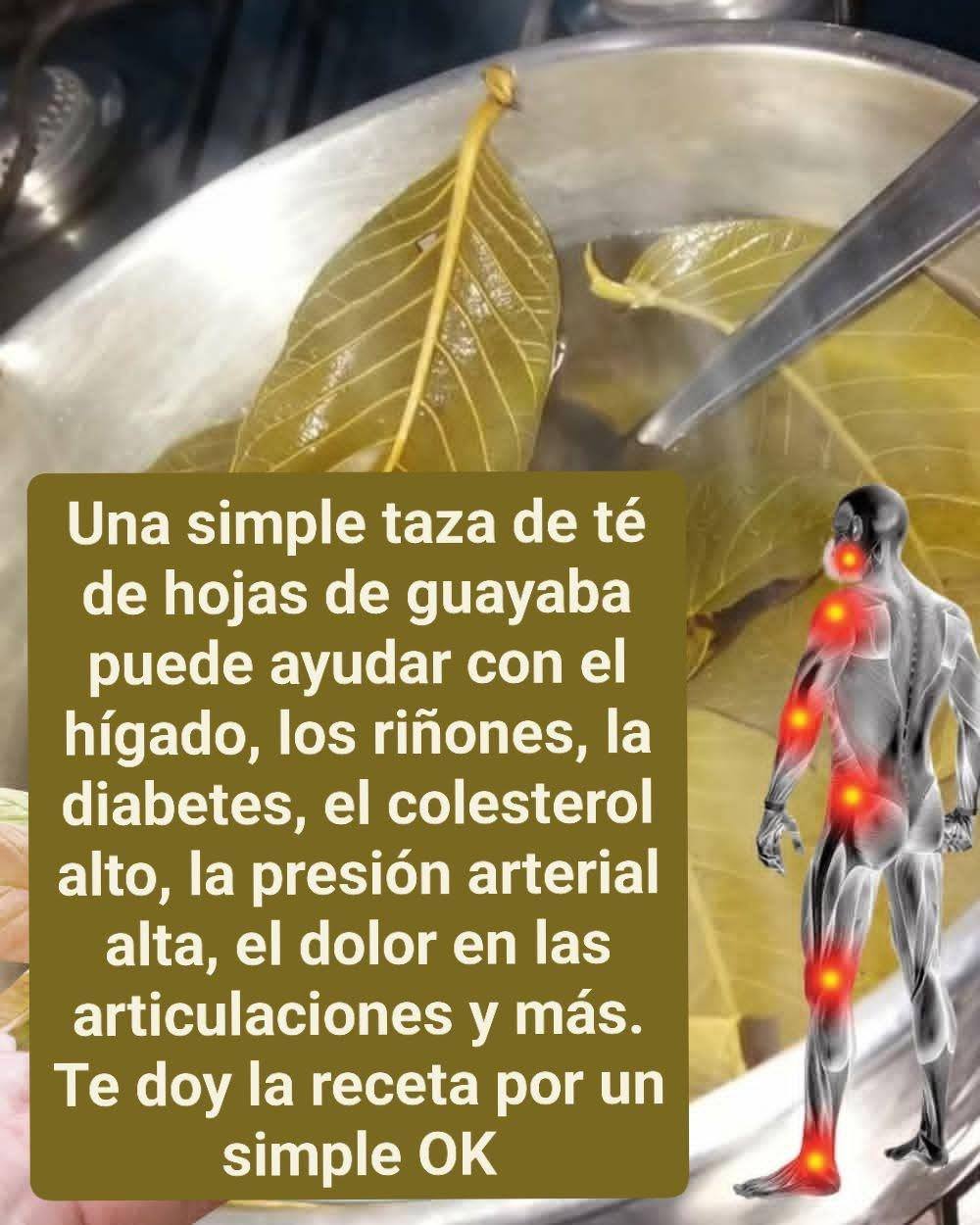 657357555 1881406805843857 7596167932575343522 n