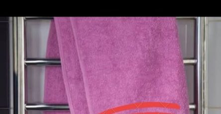 657385161 1485491403279871 8842690540270645805 n