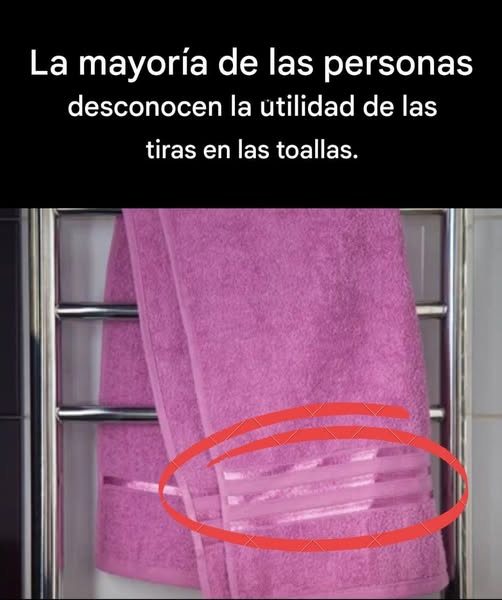 657385161 1485491403279871 8842690540270645805 n