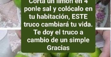 657452004 2097867644336408 2482519062165932838 n