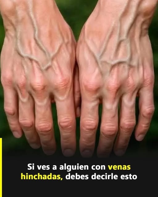 657461599 1996945551219101 4691778914950091498 n