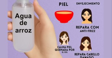 657564853 1446132213914545 946146317009872263 n