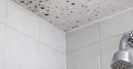 657818147 2089927058234701 699006176280392151 n