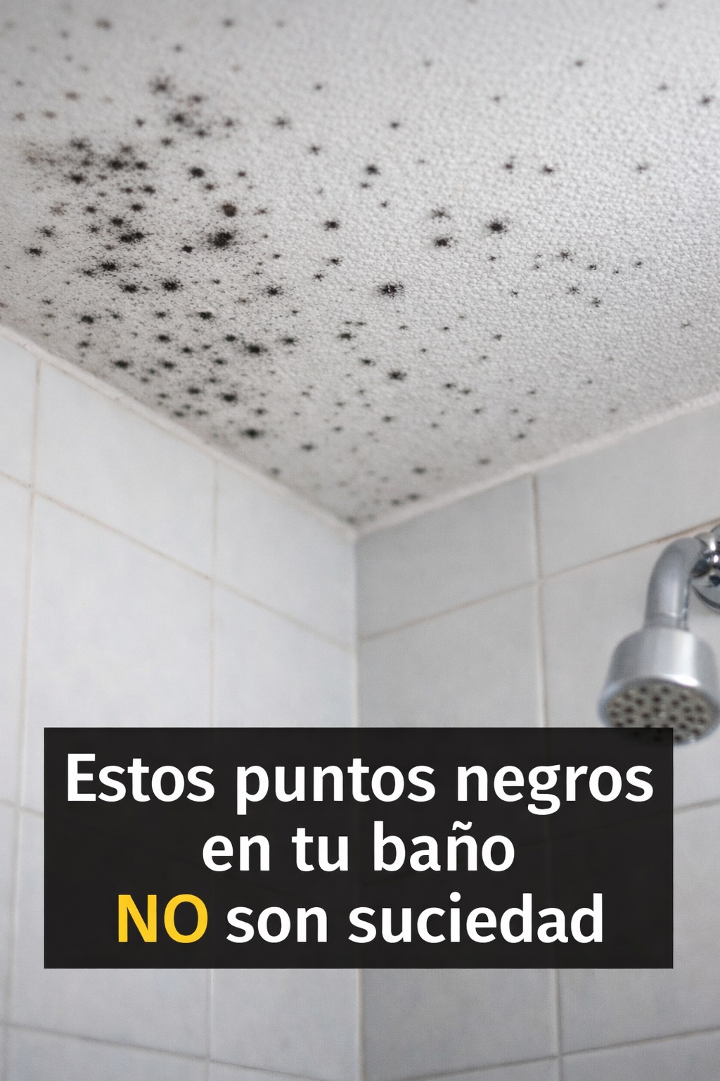 657818147 2089927058234701 699006176280392151 n