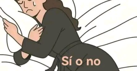 658079198 122166584474641007 5126433003161055399 n