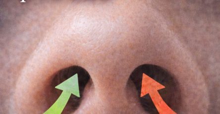 658372213 1268378905442211 3527985140547401531 n