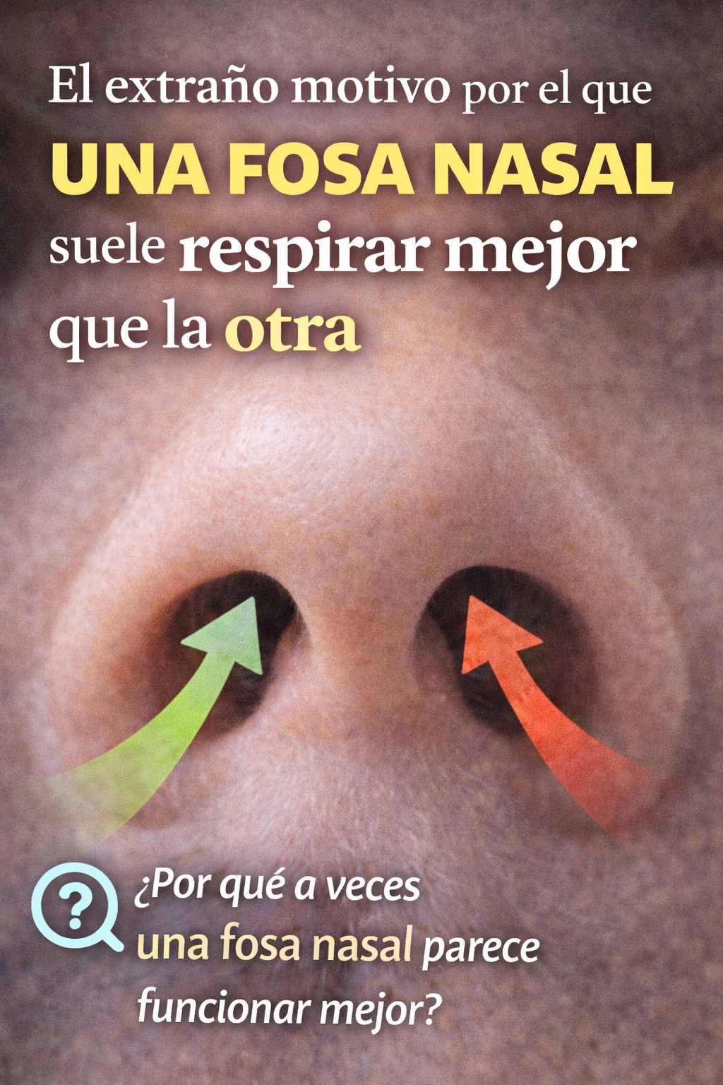 658372213 1268378905442211 3527985140547401531 n