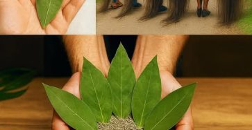 659006214 1956886965233555 7367989578051088240 n