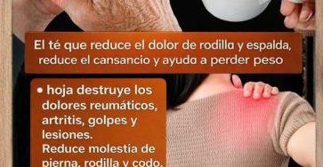 659141625 1882081885837336 3982630706760164827 n