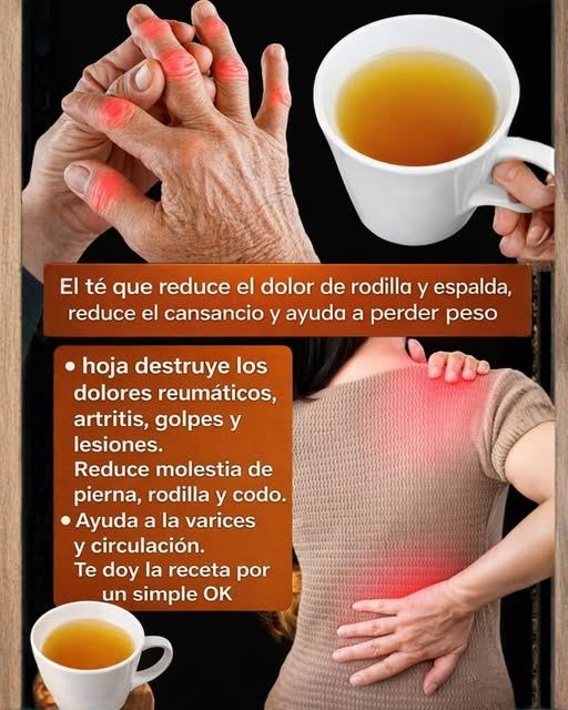 659141625 1882081885837336 3982630706760164827 n