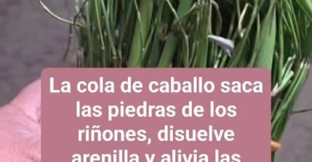 659563316 2662425364123204 7223591237369455500 n