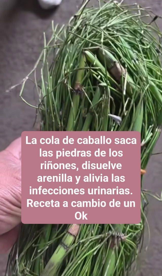 659563316 2662425364123204 7223591237369455500 n