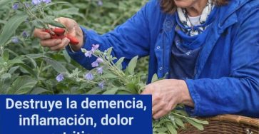 659911207 3156711011384507 7839534441020246399 n