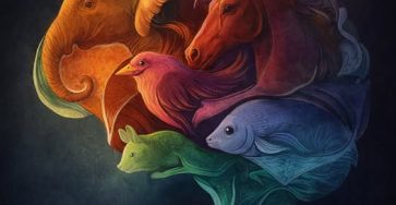 661707994 2146249746127374 2026858752055031835 n