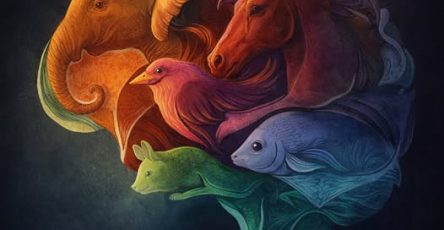 661707994 2146249746127374 2026858752055031835 n