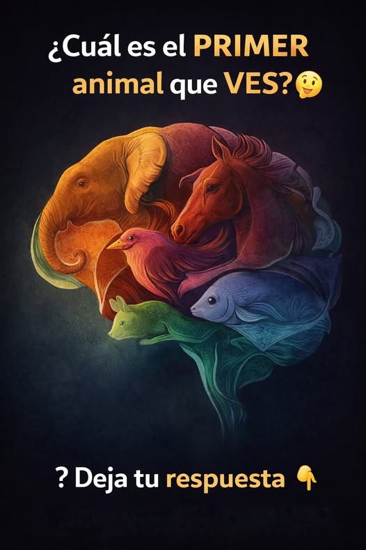 661707994 2146249746127374 2026858752055031835 n