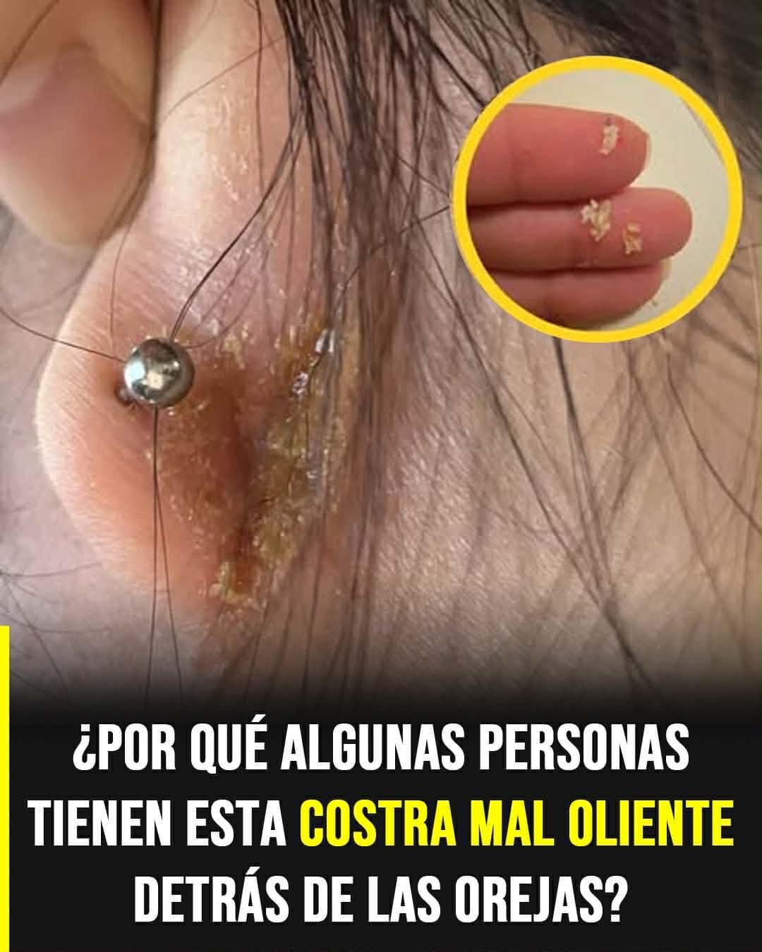 662422094 1535968301864172 5418314419445049648 n