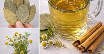 7f9527c8 259a 41ab b4b2 6207015d7f6f