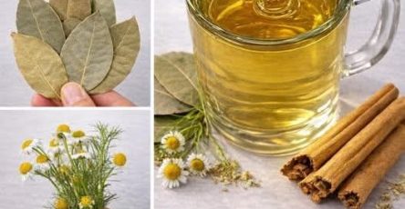 7f9527c8 259a 41ab b4b2 6207015d7f6f