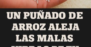 WhatsApp Image 2025 06 08 at 17.28.27