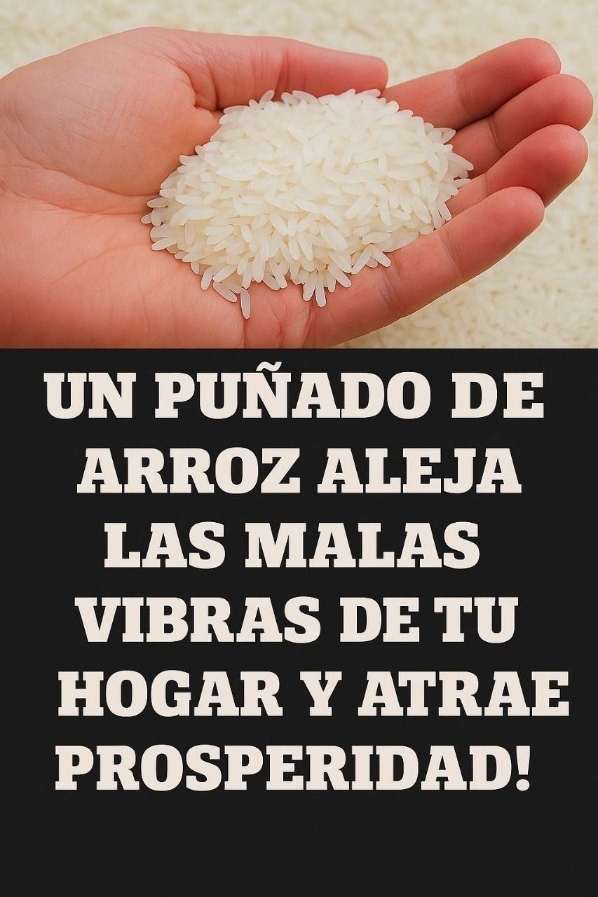 WhatsApp Image 2025 06 08 at 17.28.27