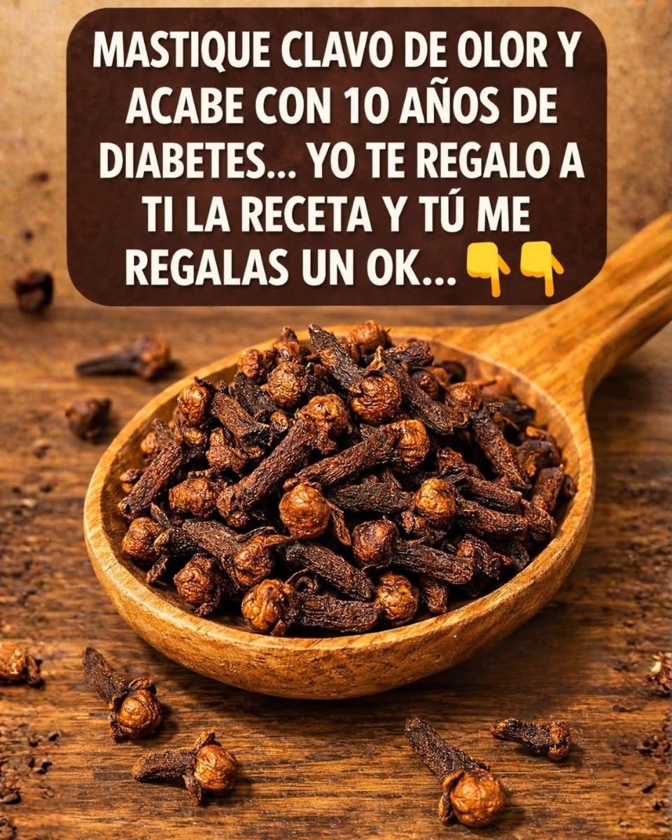 WhatsApp Image 2026 03 26 at 04.40.01