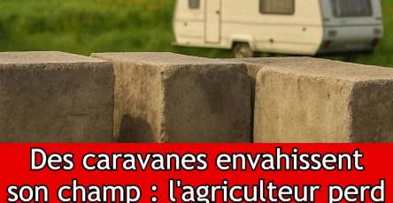 495915556 1004528438483291 4379656373718552001 n