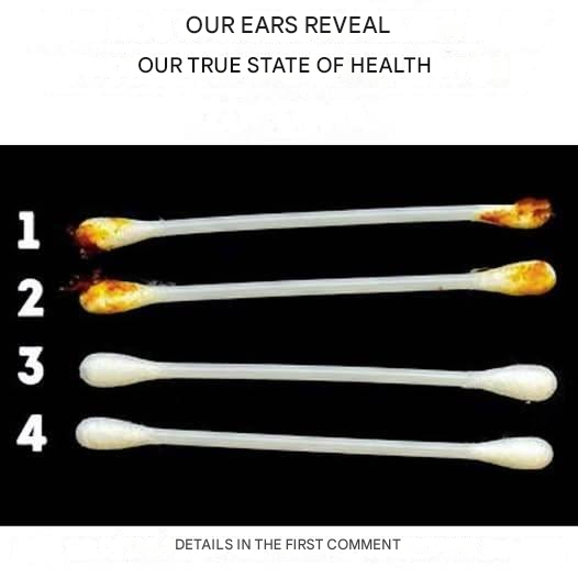 4df88e95 b110 4c4b bb5c 75ee74c0bcbd 2