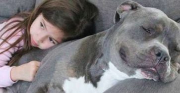 558298301 122235174062106243 6458663019604937796 n