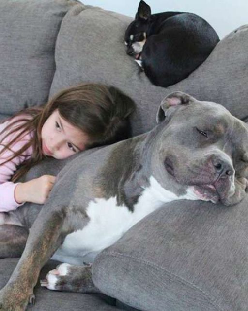 558298301 122235174062106243 6458663019604937796 n