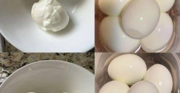 562332136 736545952736343 8060674810397211169 n