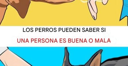 590975019 122171660156424691 6103815552256022009 n