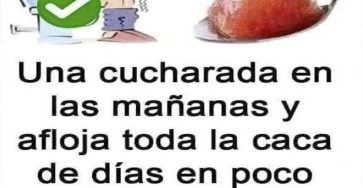 610980895 122099587599195645 486852947498868983 n