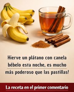 619294498 122150621198943773 8570433323668011742 n