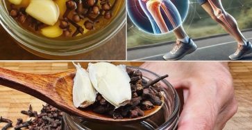 639737213 2884161961975463 1452563157104541016 n