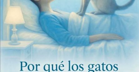 640268416 957871499911604 3315958882522118393 n