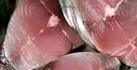 643328069 915771687870147 5262394044272011459 n