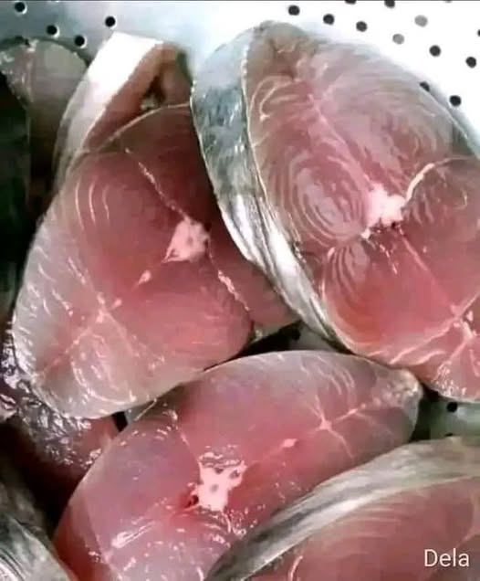 643328069 915771687870147 5262394044272011459 n