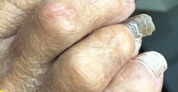 649197912 1379466883987538 2538484654510061520 n