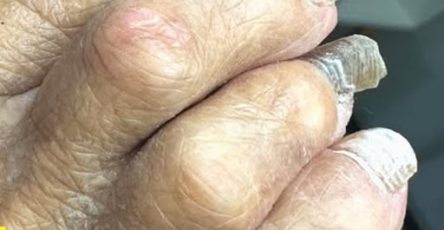 649197912 1379466883987538 2538484654510061520 n