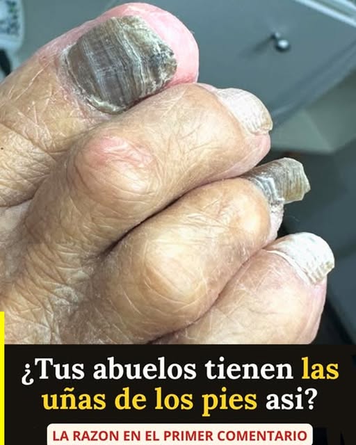 649197912 1379466883987538 2538484654510061520 n