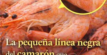 658130777 2385319575314273 7059687333204655488 n