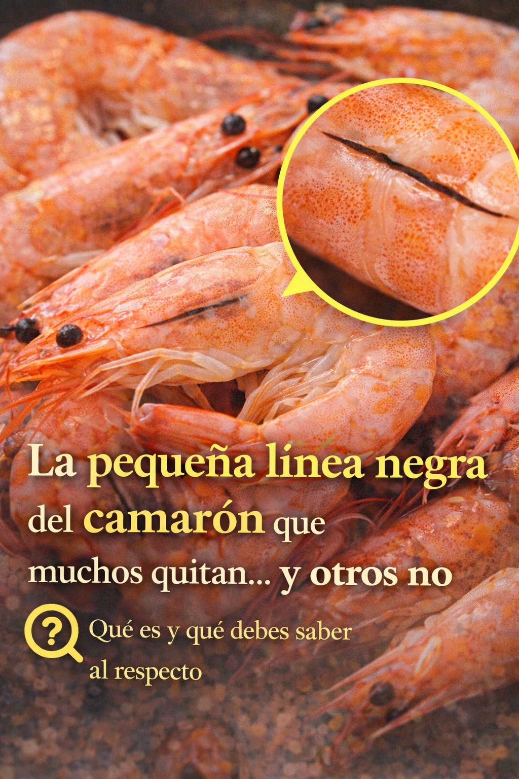 658130777 2385319575314273 7059687333204655488 n