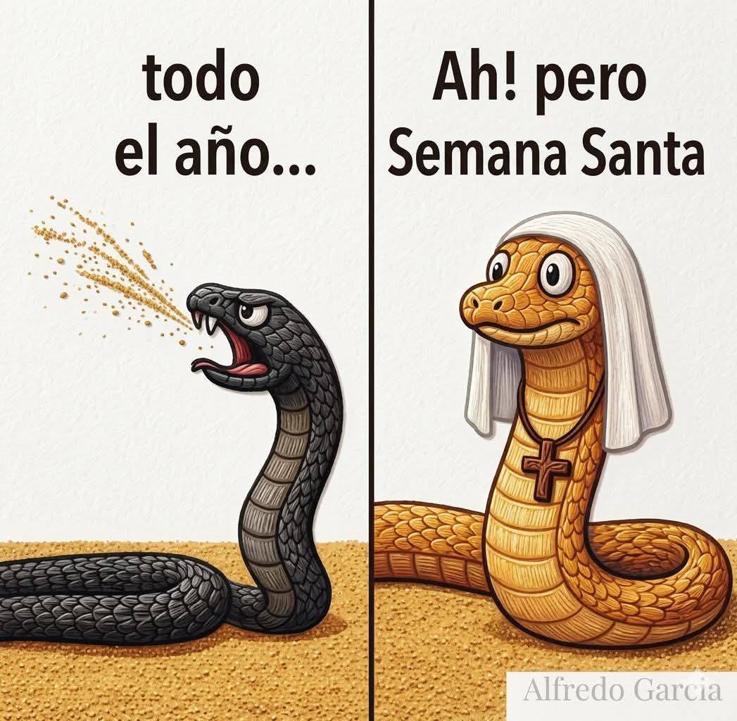 658182018 1708149497217793 6422999457831638000 n