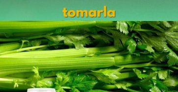 658986012 1262166149453496 2244131715000347138 n