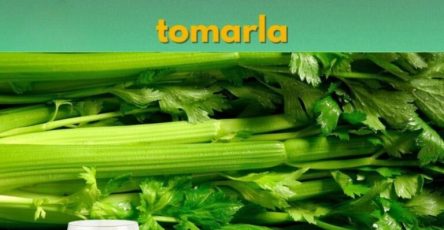 658986012 1262166149453496 2244131715000347138 n