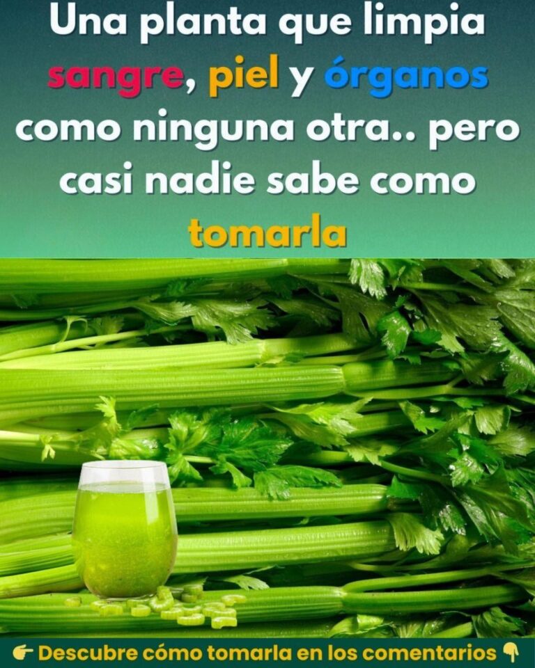 658986012 1262166149453496 2244131715000347138 n