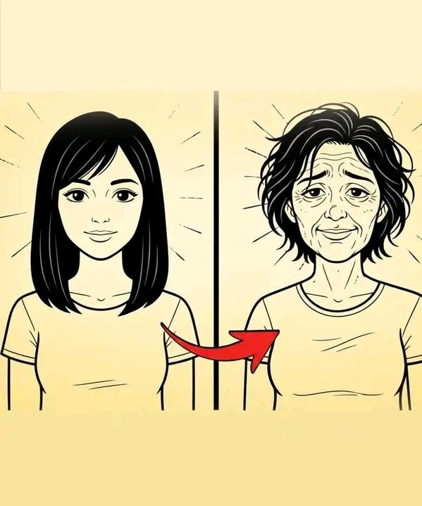 659705302 2336767786810537 2892854422429973256 n